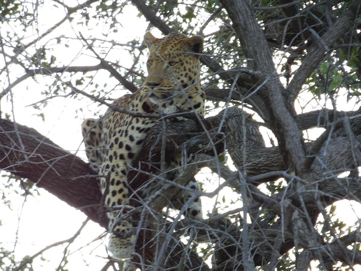 Aloegrove Safari Lodge Otjiwarongo Exteriör bild