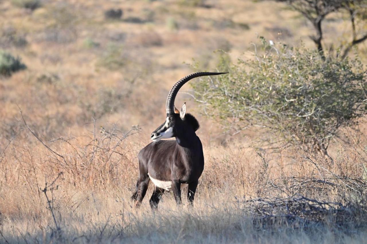 Aloegrove Safari Lodge Otjiwarongo Exteriör bild