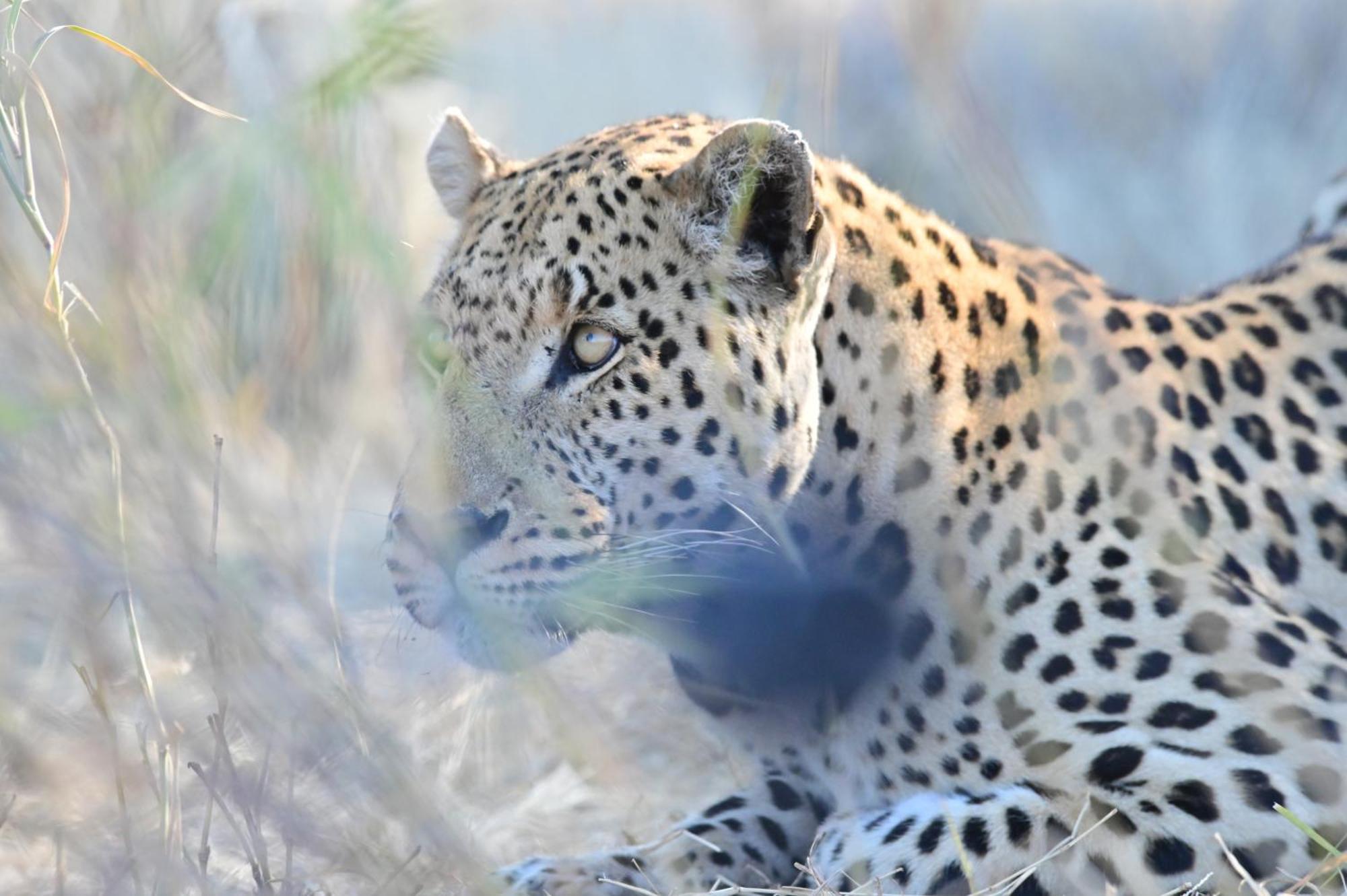 Aloegrove Safari Lodge Otjiwarongo Exteriör bild