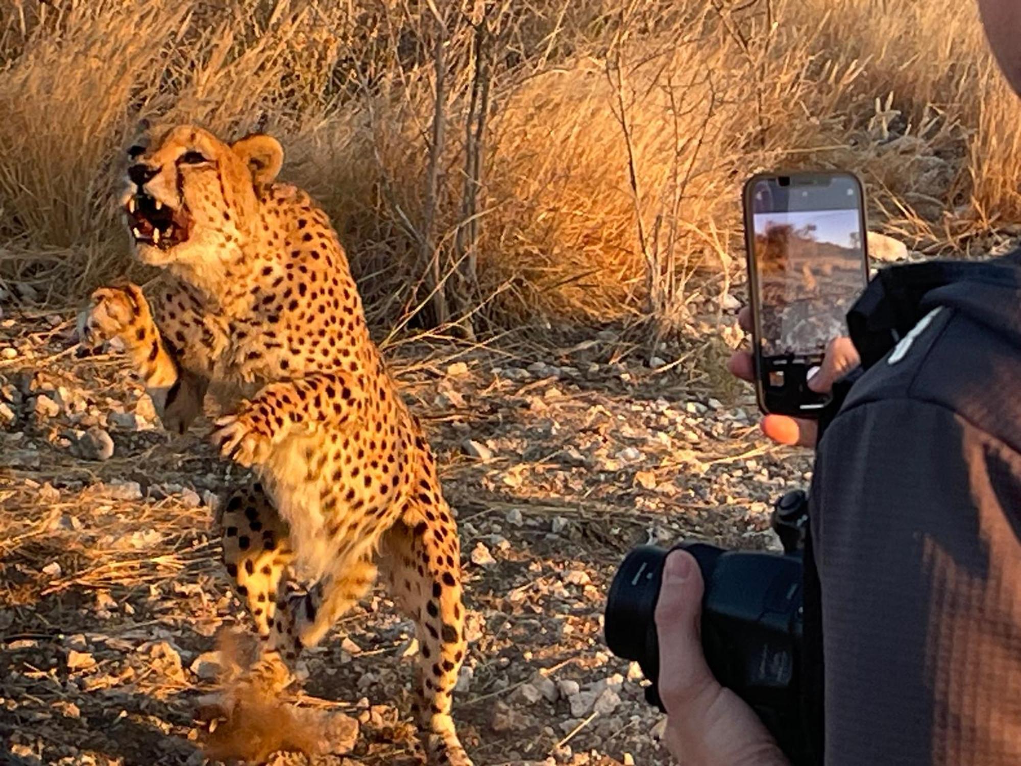 Aloegrove Safari Lodge Otjiwarongo Exteriör bild